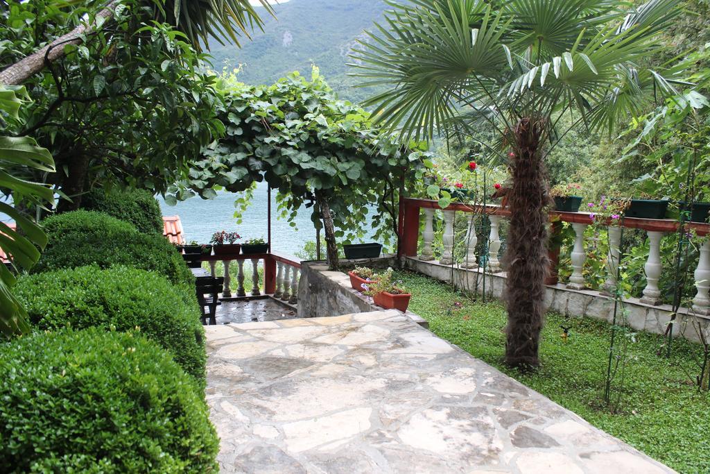 Apartments Mijuskovic 唐吉莫利尼 客房 照片